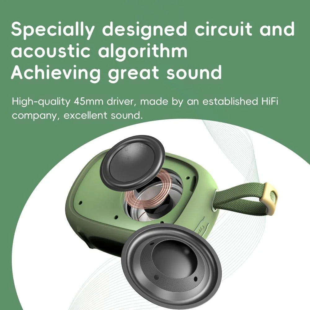 FiiO Snowsky Anywhere